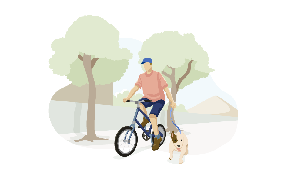 Fahrrad Hund